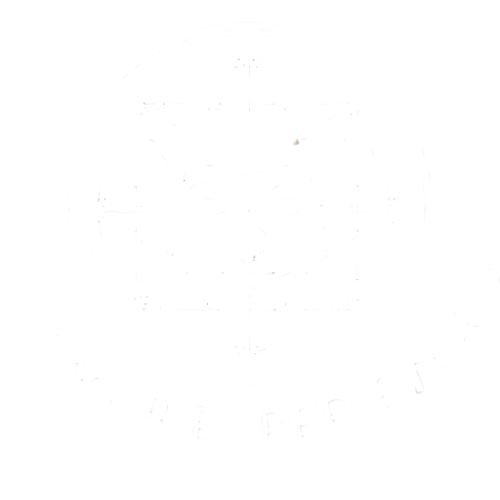 Lemur Experience